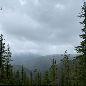 Meet your Posher, Dani